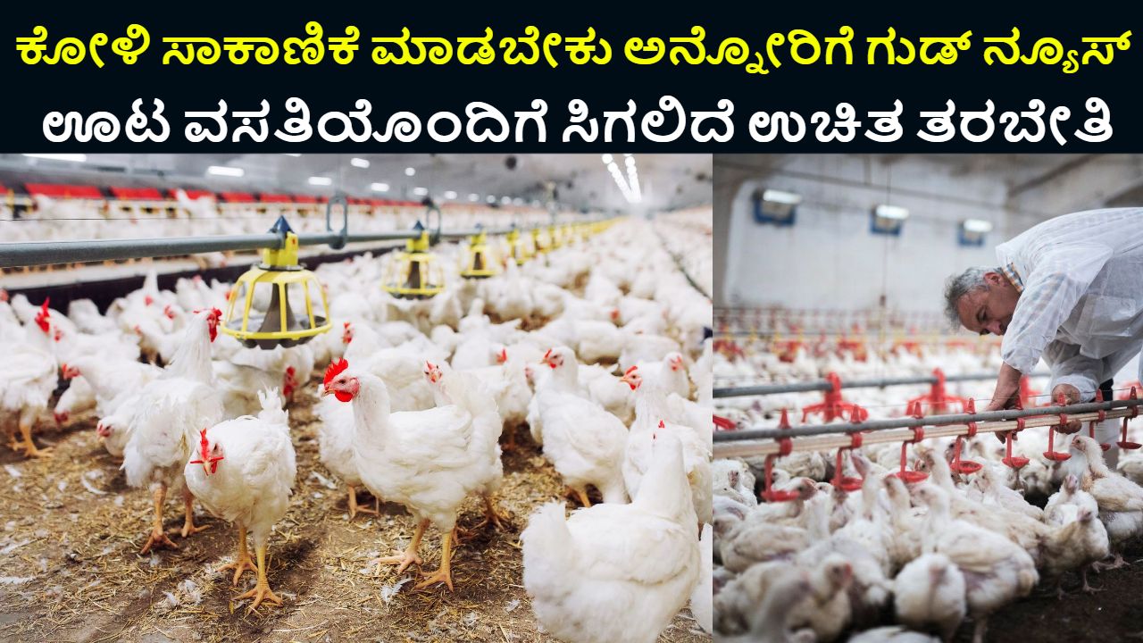 Poultry Farming Free Training
